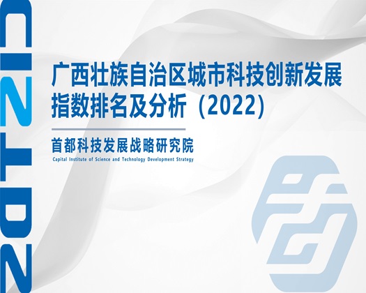 中国男女日b视频在线观看【成果发布】广西壮族自治区城市科技创新发展指数排名及分析（2022）